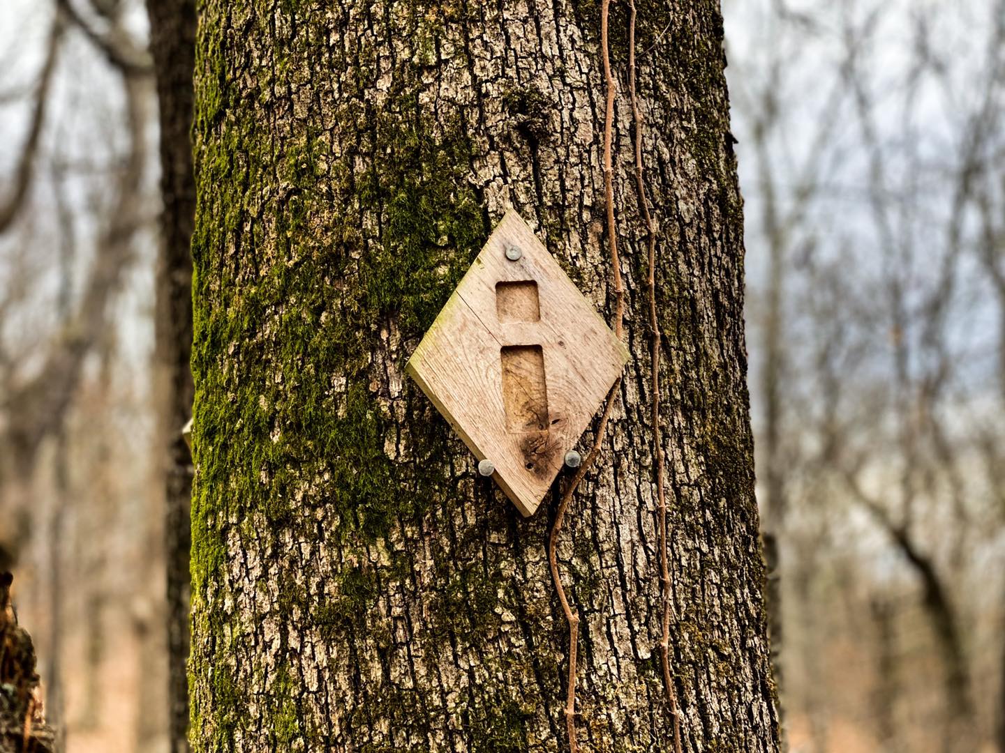 River to River Trail Blaze River to River Trail Blaze