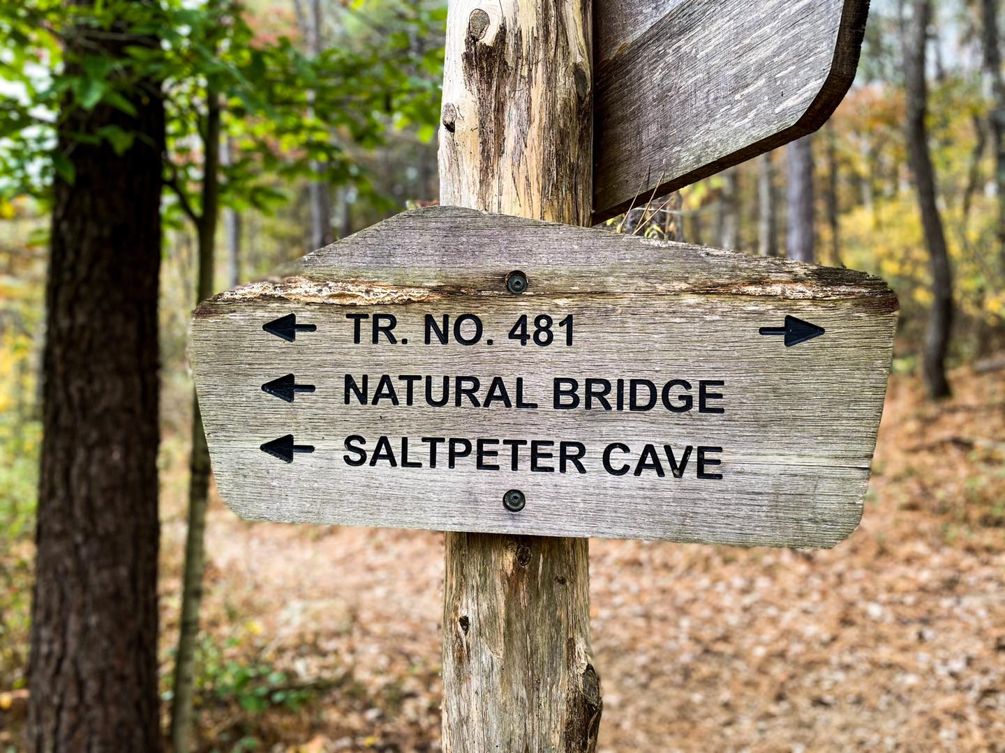 Hiking with Shawn Group Hikes Hiking with Shawn Group Hikes