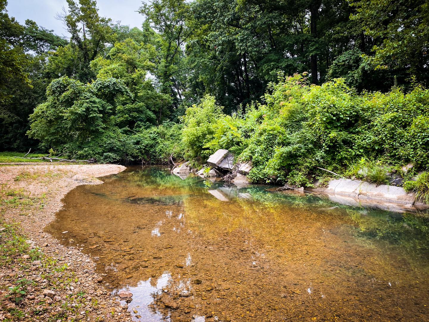 A Wading Area in Hutchins Creek A Wading Area in Hutchins Creek